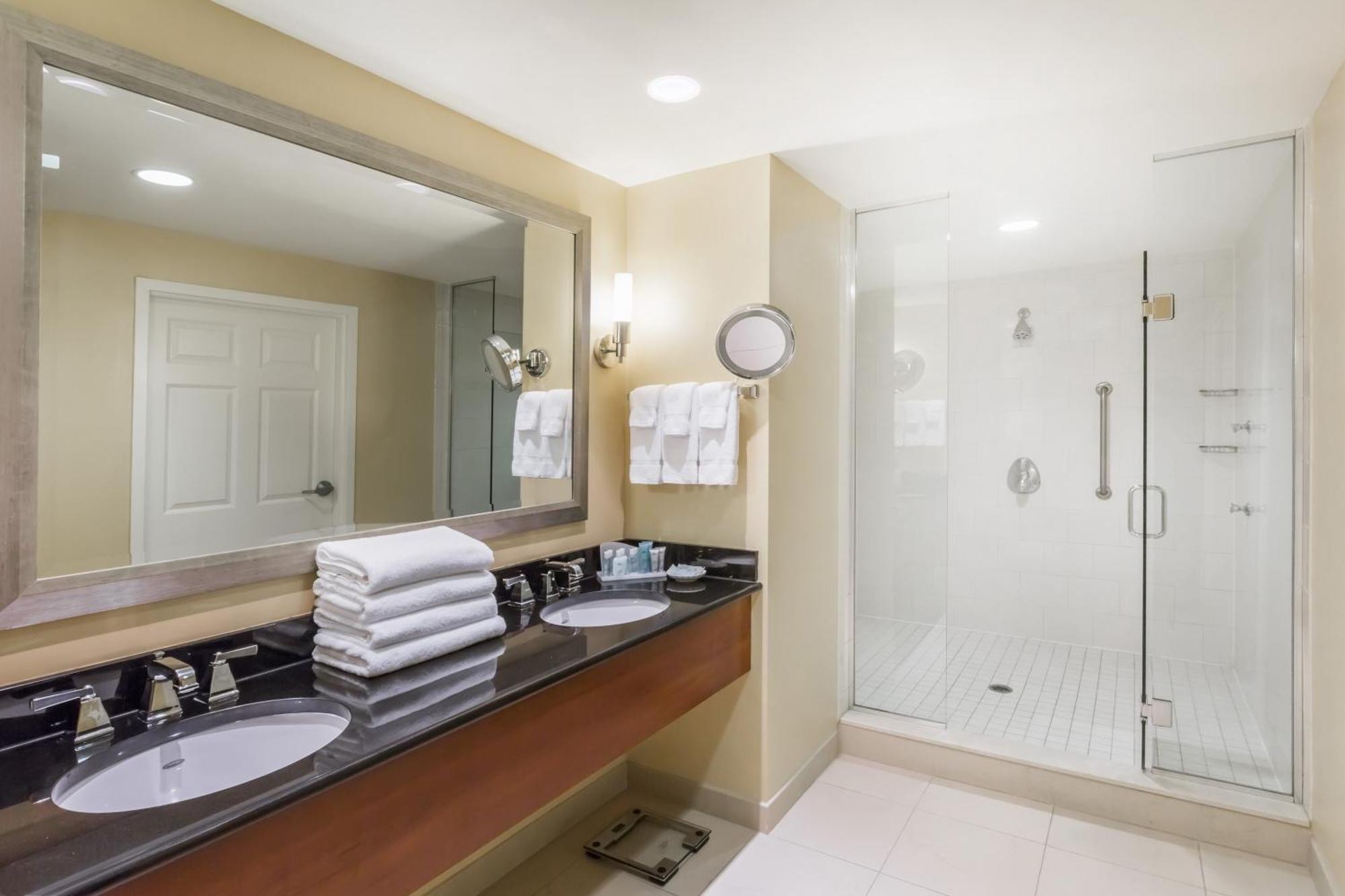 One-Bedroom King Suite Non-Smoking